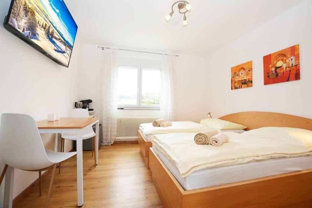 Alpenblick - Modernes Apartment In Ruhelage フィラハ エクステリア 写真
